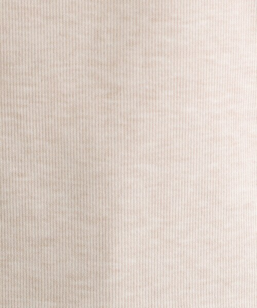 【セール】【洗える／UVケア／SETUP可能】ライトジャージ ボトルネックトップス（Tシャツ/カットソー）｜INDIVI（インディヴィ）