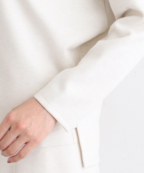 【セール】【洗える／UVケア／SETUP可能】ライトジャージ ボトルネックトップス（Tシャツ/カットソー）｜INDIVI（インディヴィ）