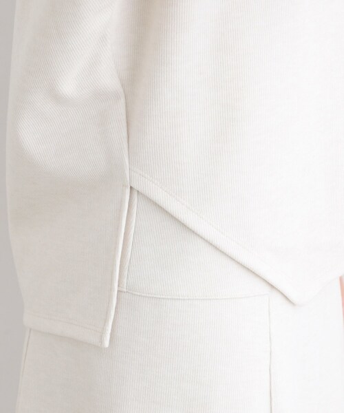 【セール】【洗える／UVケア／SETUP可能】ライトジャージ ボトルネックトップス（Tシャツ/カットソー）｜INDIVI（インディヴィ）