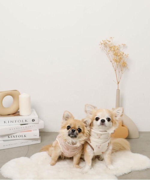 コーデュロイくまさん裏ボアベスト（ペットウェア）｜moncheri（モンシェリ） pattayablatt.com