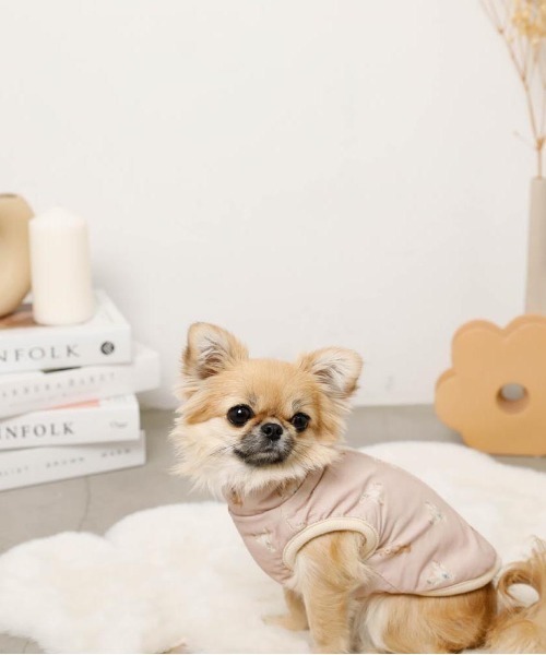 コーデュロイくまさん裏ボアベスト（ペットウェア）｜moncheri（モンシェリ） pattayablatt.com