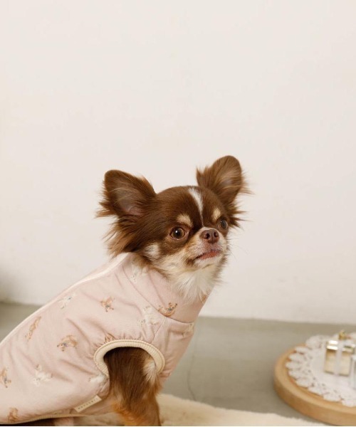 コーデュロイくまさん裏ボアベスト（ペットウェア）｜moncheri（モンシェリ） pattayablatt.com