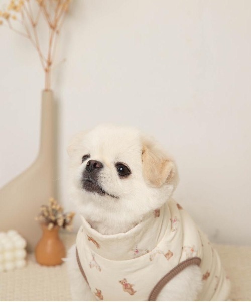 コーデュロイくまさん裏ボアベスト（ペットウェア）｜moncheri（モンシェリ） pattayablatt.com