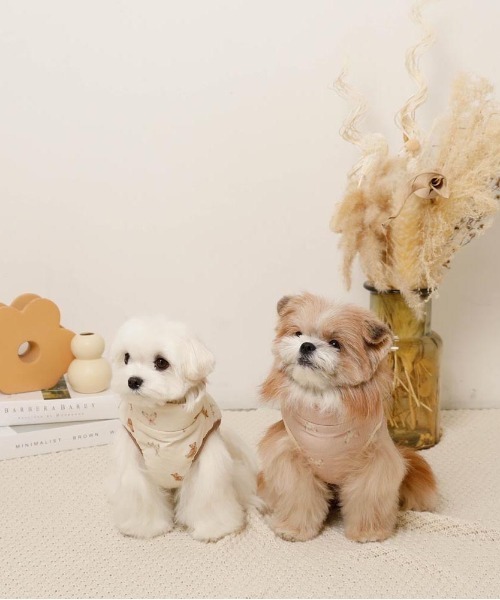 コーデュロイくまさん裏ボアベスト（ペットウェア）｜moncheri（モンシェリ） pattayablatt.com