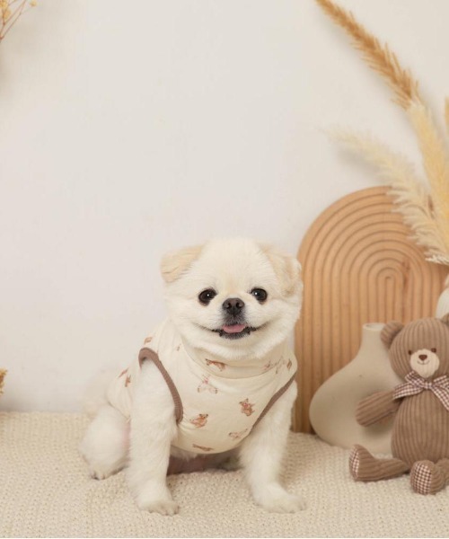 コーデュロイくまさん裏ボアベスト（ペットウェア）｜moncheri（モンシェリ） pattayablatt.com