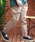 OUTDOOR PRODUCTSiAEghAv_Ncj́uOUTDOOR PRODUCTS Xgb` [N NC~O WK[iJ[Spcjvbx[W