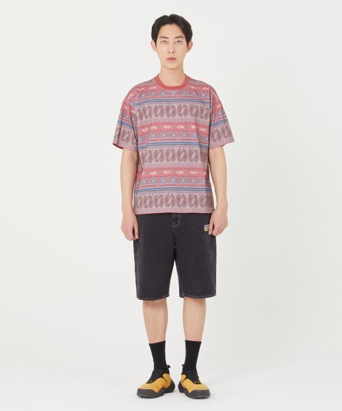 LMCの「LMC ETHNIC PAISLEY STRIPE TEE red(Tシャツ/カットソー・レディース・その他・SMALL/LARGE)」の2枚目の写真