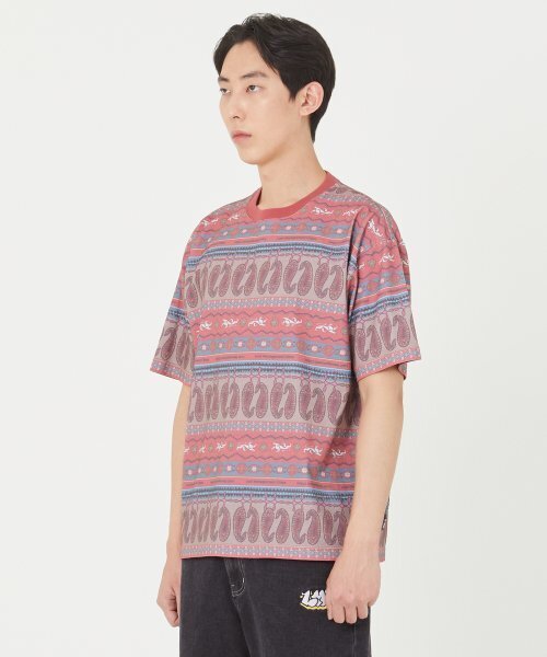 LMCの「LMC ETHNIC PAISLEY STRIPE TEE red(Tシャツ/カットソー・レディース・その他・SMALL/LARGE)」の4枚目の写真