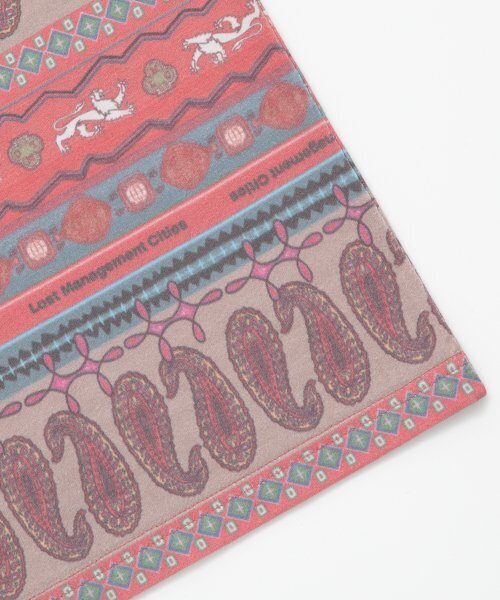 LMCの「LMC ETHNIC PAISLEY STRIPE TEE red(Tシャツ/カットソー・レディース・その他・SMALL/LARGE)」の9枚目の写真