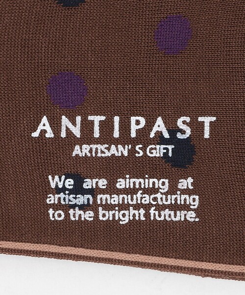ANTIPAST(アンティパスト)の「<ANTIPAST>クラシック ドット ソックス(ソックス/靴下・メンズ・ダークブラウン/グレー系/ホワイト/ネイビー・FREE)」の8枚目の写真