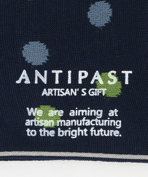 ANTIPAST(アンティパスト)の「<ANTIPAST>クラシック ドット ソックス(ソックス/靴下・メンズ・ダークブラウン/グレー系/ホワイト/ネイビー・FREE)」の11枚目の写真