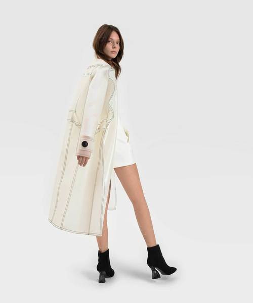 CHARLES & KEITH(チャールズ & キース)の「スカルプチャルルーサイトヒールブーツ / SCULPTURAL LUCITE HEEL BOOTS(ブーツ・レディース・ブラック/グレー/アイボリー・22.5cm/23cm/23.5cm/24.5cm/25cm/25.5cm)」の5枚目の写真