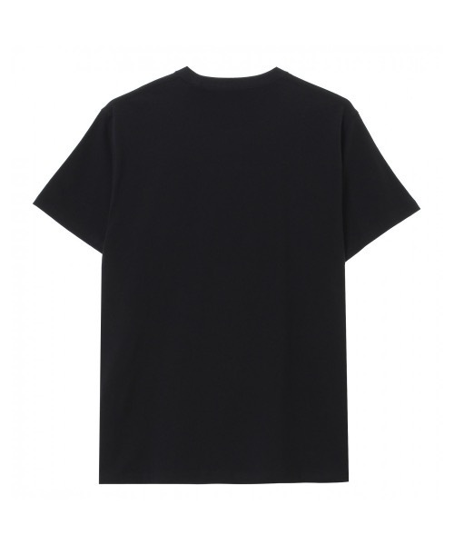 DC SHOES(ディーシーシューズ)の「21 20S BASIC WSTAR S/DCロゴ半袖Tシャツ(Tシャツ/カットソー・メンズ・ホワイト/ブラック系その他/ブラック・MEDIUM/LARGE/X-LARGE)」の9枚目の写真