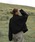 Reurie'iEBj́uyVFǉz_uWbvV[gE[R[g / original wzip short wool coat X^hJ[R[g V[g RN[VGbg V[gR[g E[ t@Xi[ AC{[ O[W uE O[ ubN nClbNȋAE^[jvbubN