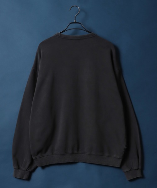 ANPAS（アンパス）の「Pigment Processing Switching Design