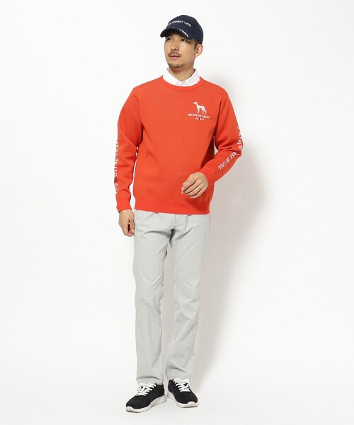 adabat（アダバット）の「ウォッシャブル素材 サルーキジャカードニット（ニット/セーター・メンズ・グレー/ネイビー/オレンジ・50/48/46）」の9枚目の写真