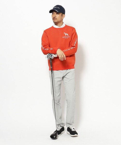 adabat（アダバット）の「ウォッシャブル素材 サルーキジャカードニット（ニット/セーター・メンズ・グレー/ネイビー/オレンジ・50/48/46）」の10枚目の写真