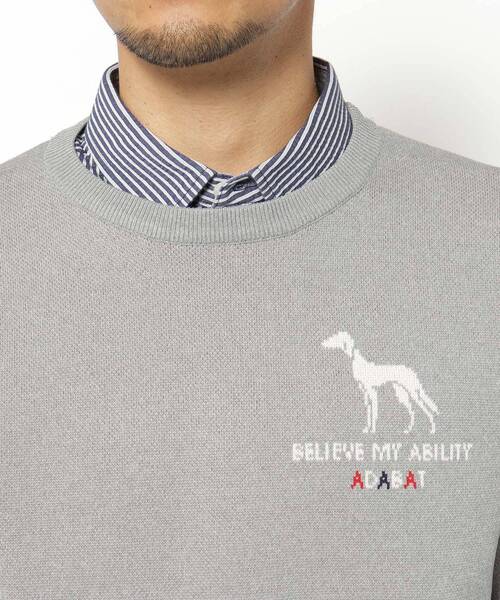 adabat（アダバット）の「ウォッシャブル素材 サルーキジャカードニット（ニット/セーター・メンズ・グレー/ネイビー/オレンジ・50/48/46）」の14枚目の写真