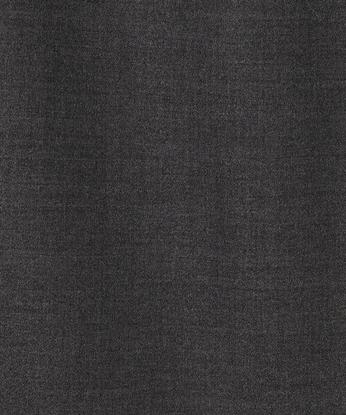 TOMORROWLAND collection（トゥモローランドコレクション）の「スーパーアムンゼン ストレートスカート（スカート・レディース・チャコールグレー/ブラウン・36/34）」の9枚目の写真