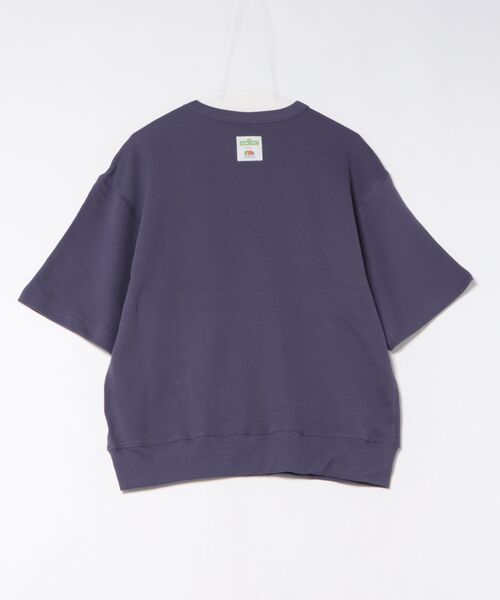 FRUIT OF THE LOOM(フルーツオブザルーム)の「SESAME STREET meets FRUIT OF THE LOOM/ハーフスリーブ1(Tシャツ/カットソー・メンズ・パープル/エメラルド・L/M)」の3枚目の写真
