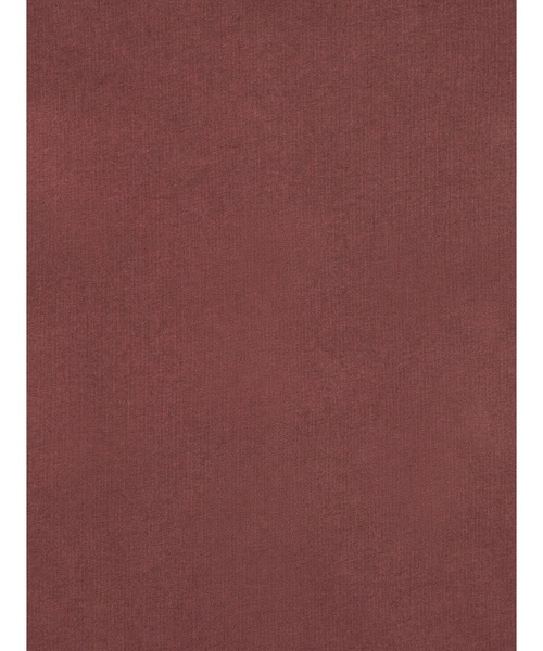 Levi's（リーバイス）の「Levi's/リーバイス HAYES BOXY フルジップ スウェットシャツ（パーカー・メンズ・ピンク・XL/L/M/S）」の12枚目の写真