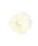 LAKOLE�i���R���j�́u�I�[�K���W�[���C���[�V���V�� / 644601�i�V���V���j�v�b�A�C�{���[