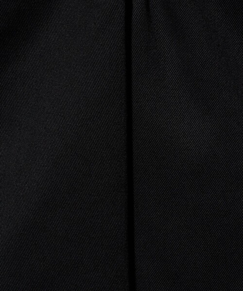 Dickies(ディッキーズ)の「<Dickies>TCツイル イージー ショーツ ショートパンツ(その他パンツ・メンズ・ベージュ/ブラック/ダークグレー・L/XL/M/S)」の18枚目の写真
