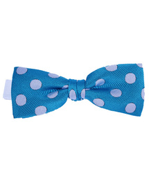 8(eight)�i�G�C�g�j�́u�h�b�g���l�N�^�C ���{���i���l�N�^�C�j�v