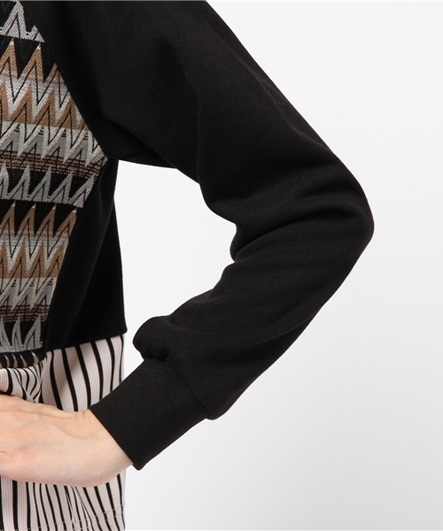 ROSE BUD（ローズバッド）の「LCTT-14289 BLOCK PATTERN PLLOVER （Tシャツ/カットソー・レディース・ブラック/ネイビー・ONE SIZE）」の5枚目の写真