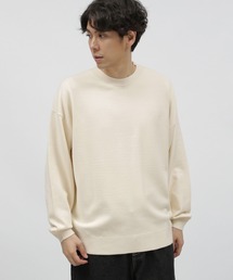 LAKOLE | スポンディッシュクループルオーバー / 199909(ニット/セーター)