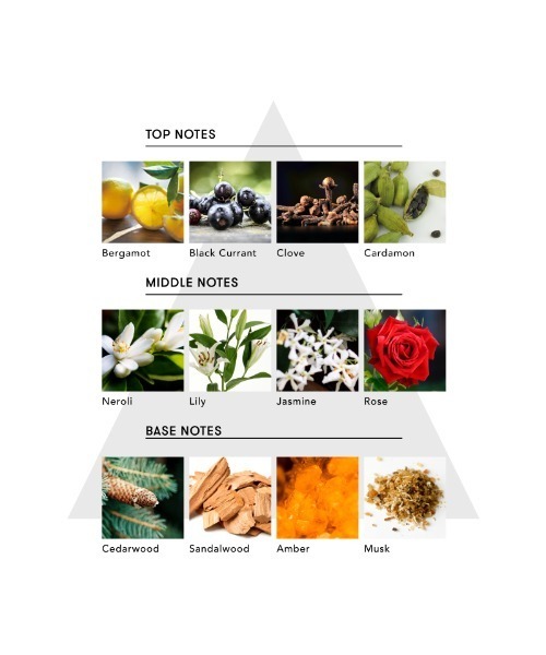 SINN PURETE（シンピュルテ）の「マインドフル ハンドウォッシュ / FREE SPIRIT（ハンドソープ・レディース・その他・FREE）」の6枚目の写真