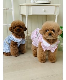ペットウェア 犬服 ドッグウェア ワンピース」に該当するペットグッズ