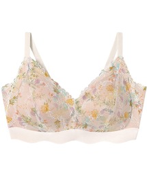 Wing(ECO)̃mC[u(uW[)