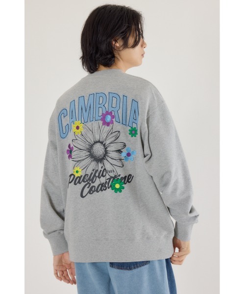 RODEO CROWNS WIDE BOWL(ロデオクラウンズワイドボウル)の「CAMBRIAスウェット(スウェット・メンズ・ブラック/ダークグリーン/杢グレー・LARGE/MEDIUM)」の1枚目の写真
