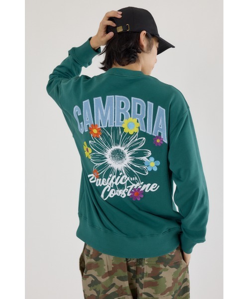 RODEO CROWNS WIDE BOWL(ロデオクラウンズワイドボウル)の「CAMBRIAスウェット(スウェット・メンズ・ブラック/ダークグリーン/杢グレー・LARGE/MEDIUM)」の13枚目の写真