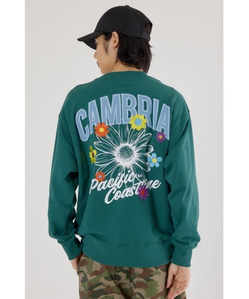 RODEO CROWNS WIDE BOWL(ロデオクラウンズワイドボウル)の「CAMBRIAスウェット(スウェット・メンズ・ブラック/ダークグリーン/杢グレー・LARGE/MEDIUM)」の14枚目の写真