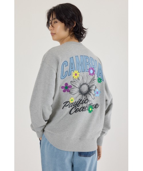 RODEO CROWNS WIDE BOWL(ロデオクラウンズワイドボウル)の「CAMBRIAスウェット(スウェット・メンズ・ブラック/ダークグリーン/杢グレー・LARGE/MEDIUM)」の17枚目の写真