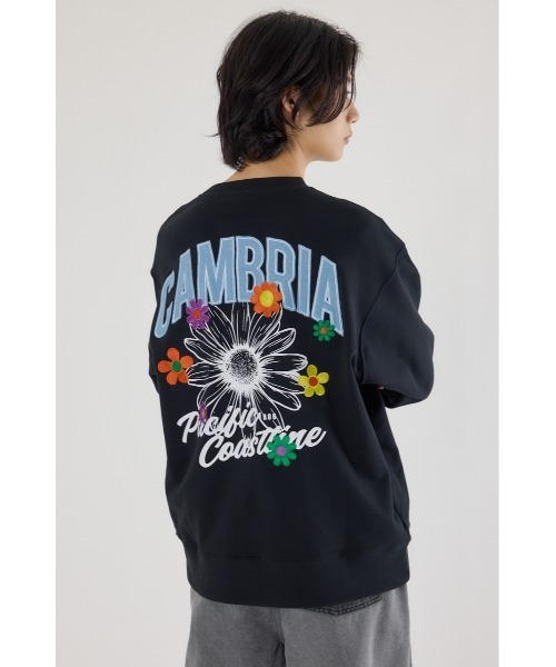 RODEO CROWNS WIDE BOWL(ロデオクラウンズワイドボウル)の「CAMBRIAスウェット(スウェット・メンズ・ブラック/ダークグリーン/杢グレー・LARGE/MEDIUM)」の6枚目の写真