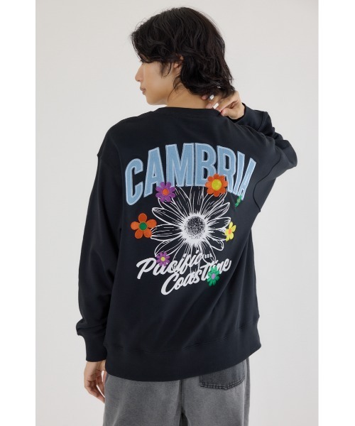 RODEO CROWNS WIDE BOWL(ロデオクラウンズワイドボウル)の「CAMBRIAスウェット(スウェット・メンズ・ブラック/ダークグリーン/杢グレー・LARGE/MEDIUM)」の7枚目の写真