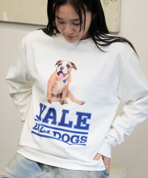 SUNNY  SPORTS（サニースポーツ）の「The BOOK STORE / ブックストア "BULLDOGS" CREW SWEAT イェール大学 ブルドッグ フォト クルーネックスウェット（スウェット・メンズ・ホワイト/ヘザーグレー/ブラック・MEDIUM/X-LARGE/LARGE）」の2枚目の写真