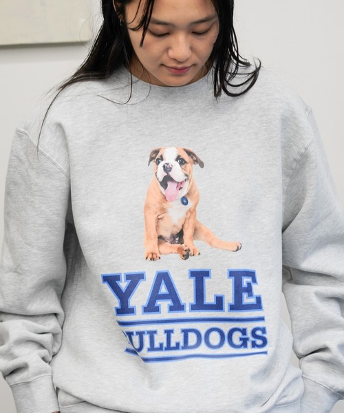 SUNNY  SPORTS（サニースポーツ）の「The BOOK STORE / ブックストア "BULLDOGS" CREW SWEAT イェール大学 ブルドッグ フォト クルーネックスウェット（スウェット・メンズ・ホワイト/ヘザーグレー/ブラック・MEDIUM/X-LARGE/LARGE）」の3枚目の写真