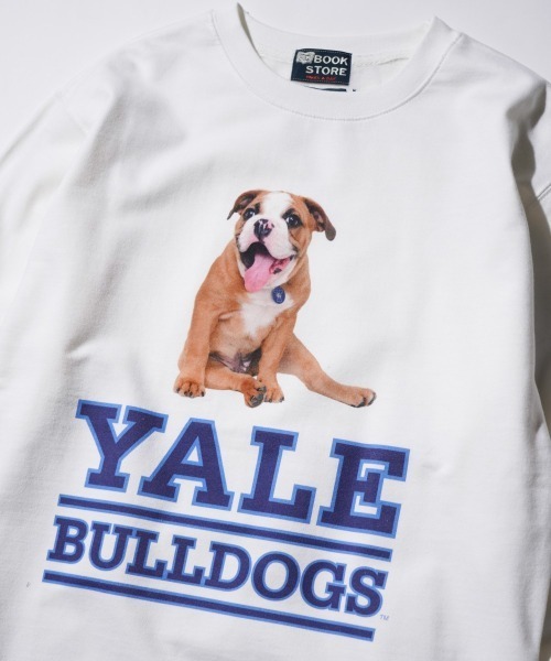 SUNNY  SPORTS（サニースポーツ）の「The BOOK STORE / ブックストア "BULLDOGS" CREW SWEAT イェール大学 ブルドッグ フォト クルーネックスウェット（スウェット・メンズ・ホワイト/ヘザーグレー/ブラック・MEDIUM/X-LARGE/LARGE）」の17枚目の写真