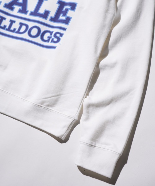 SUNNY  SPORTS（サニースポーツ）の「The BOOK STORE / ブックストア "BULLDOGS" CREW SWEAT イェール大学 ブルドッグ フォト クルーネックスウェット（スウェット・メンズ・ホワイト/ヘザーグレー/ブラック・MEDIUM/X-LARGE/LARGE）」の19枚目の写真