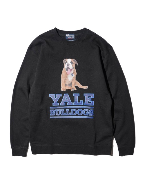 SUNNY  SPORTS（サニースポーツ）の「The BOOK STORE / ブックストア "BULLDOGS" CREW SWEAT イェール大学 ブルドッグ フォト クルーネックスウェット（スウェット・メンズ・ホワイト/ヘザーグレー/ブラック・MEDIUM/X-LARGE/LARGE）」の22枚目の写真