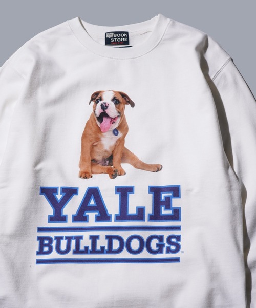 SUNNY  SPORTS（サニースポーツ）の「The BOOK STORE / ブックストア "BULLDOGS" CREW SWEAT イェール大学 ブルドッグ フォト クルーネックスウェット（スウェット・メンズ・ホワイト/ヘザーグレー/ブラック・MEDIUM/X-LARGE/LARGE）」の14枚目の写真