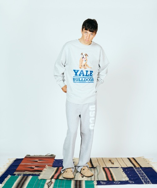 SUNNY  SPORTS（サニースポーツ）の「The BOOK STORE / ブックストア "BULLDOGS" CREW SWEAT イェール大学 ブルドッグ フォト クルーネックスウェット（スウェット・メンズ・ホワイト/ヘザーグレー/ブラック・MEDIUM/X-LARGE/LARGE）」の6枚目の写真