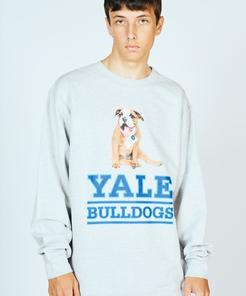 SUNNY  SPORTS（サニースポーツ）の「The BOOK STORE / ブックストア "BULLDOGS" CREW SWEAT イェール大学 ブルドッグ フォト クルーネックスウェット（スウェット・メンズ・ホワイト/ヘザーグレー/ブラック・MEDIUM/X-LARGE/LARGE）」の7枚目の写真