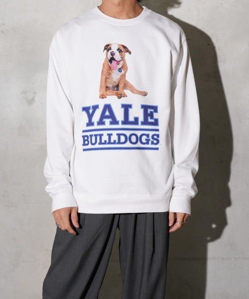 SUNNY  SPORTS（サニースポーツ）の「The BOOK STORE / ブックストア "BULLDOGS" CREW SWEAT イェール大学 ブルドッグ フォト クルーネックスウェット（スウェット・メンズ・ホワイト/ヘザーグレー/ブラック・MEDIUM/X-LARGE/LARGE）」の8枚目の写真