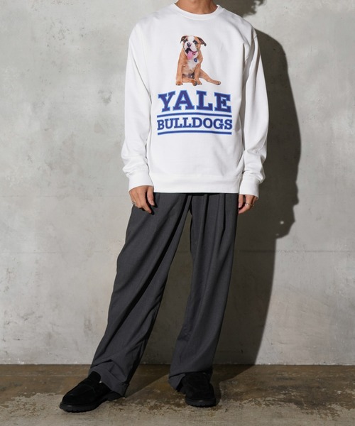 SUNNY  SPORTS（サニースポーツ）の「The BOOK STORE / ブックストア "BULLDOGS" CREW SWEAT イェール大学 ブルドッグ フォト クルーネックスウェット（スウェット・メンズ・ホワイト/ヘザーグレー/ブラック・MEDIUM/X-LARGE/LARGE）」の9枚目の写真