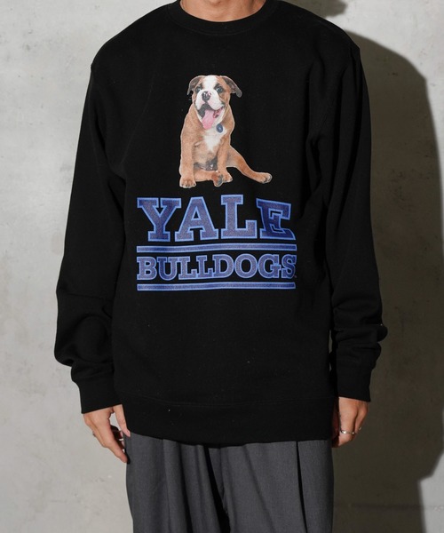 SUNNY  SPORTS（サニースポーツ）の「The BOOK STORE / ブックストア "BULLDOGS" CREW SWEAT イェール大学 ブルドッグ フォト クルーネックスウェット（スウェット・メンズ・ホワイト/ヘザーグレー/ブラック・MEDIUM/X-LARGE/LARGE）」の10枚目の写真
